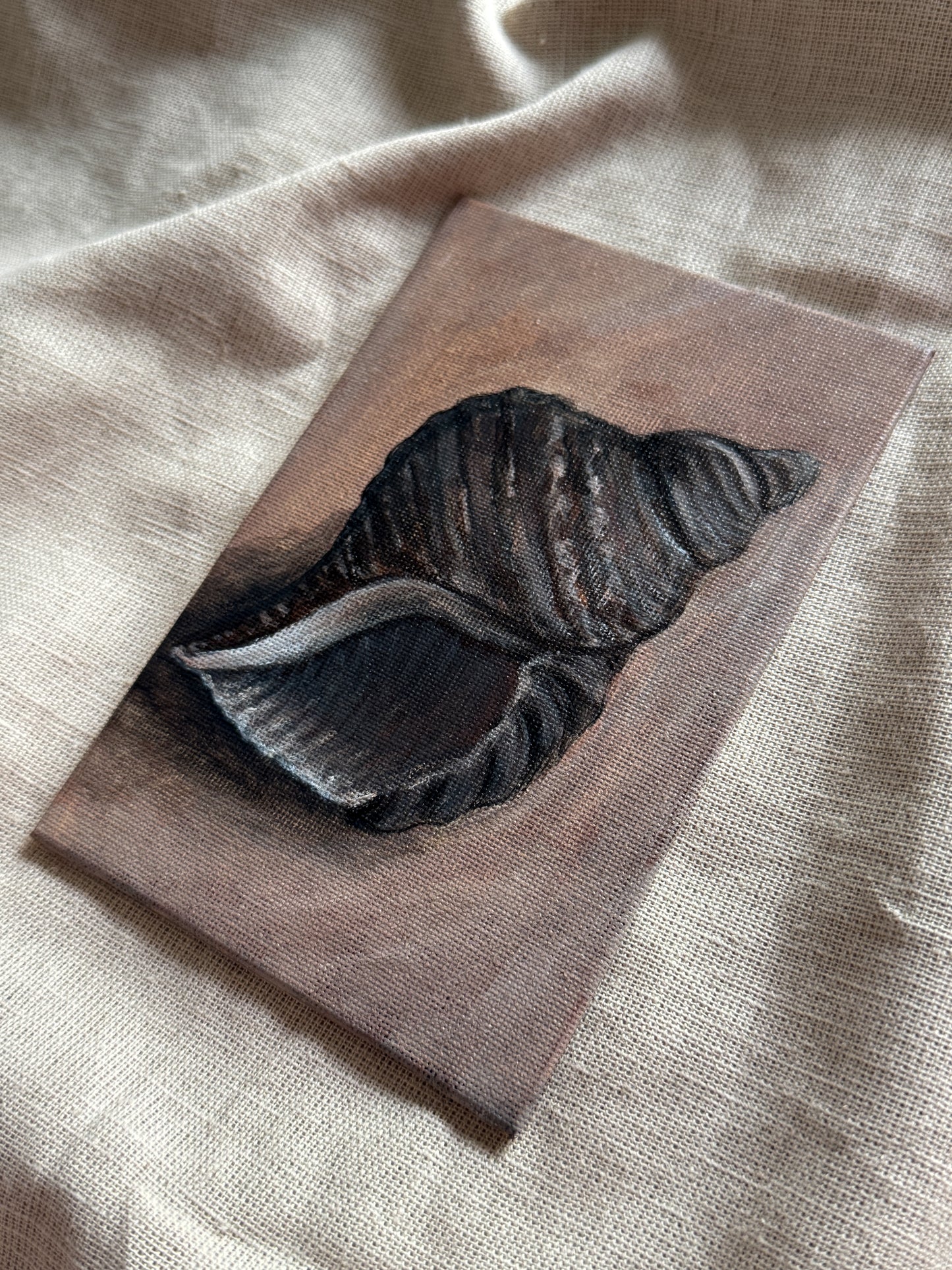 song of the seashell