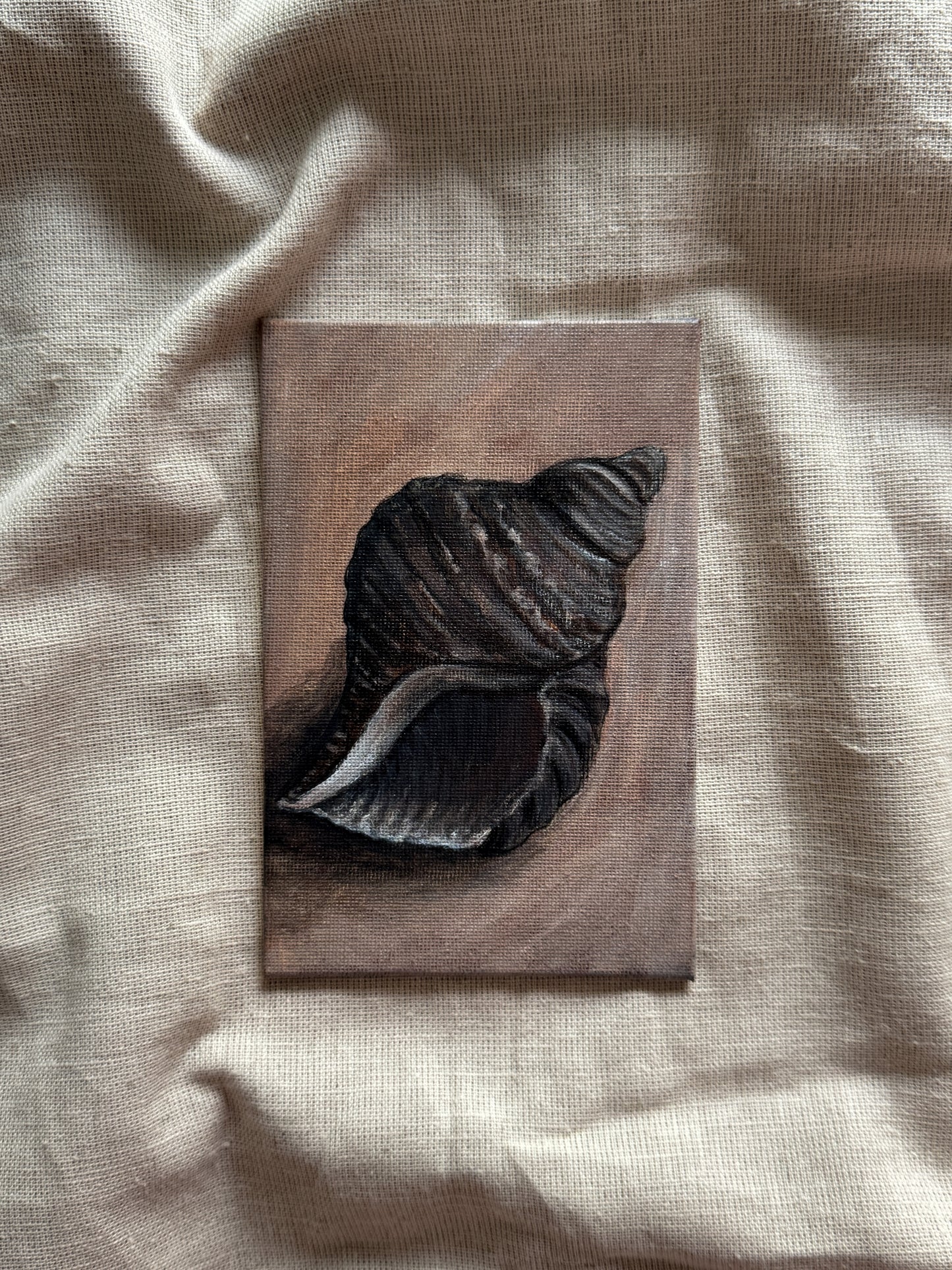 song of the seashell
