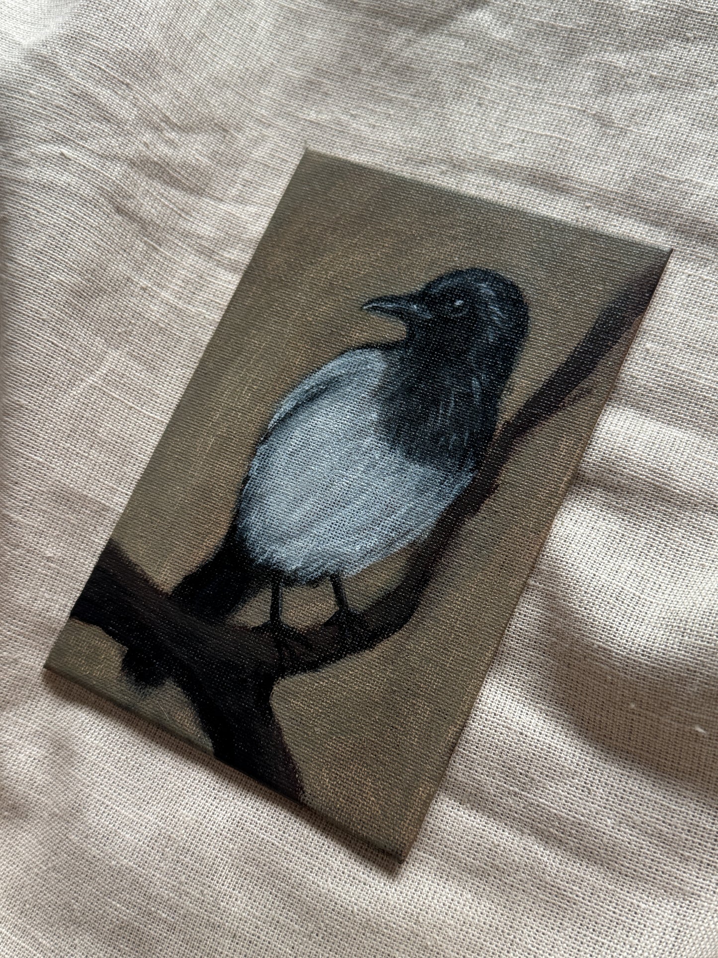 a magpie’s watch