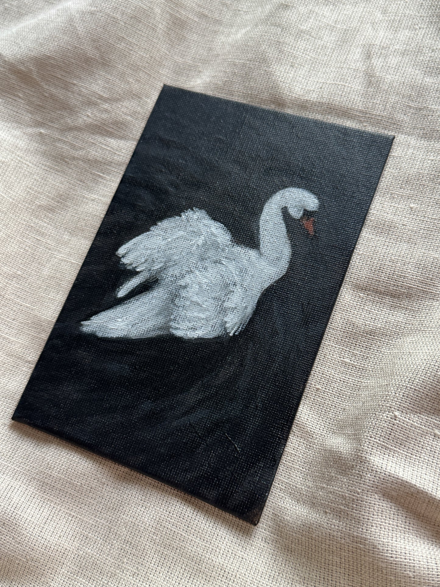 swan on still water