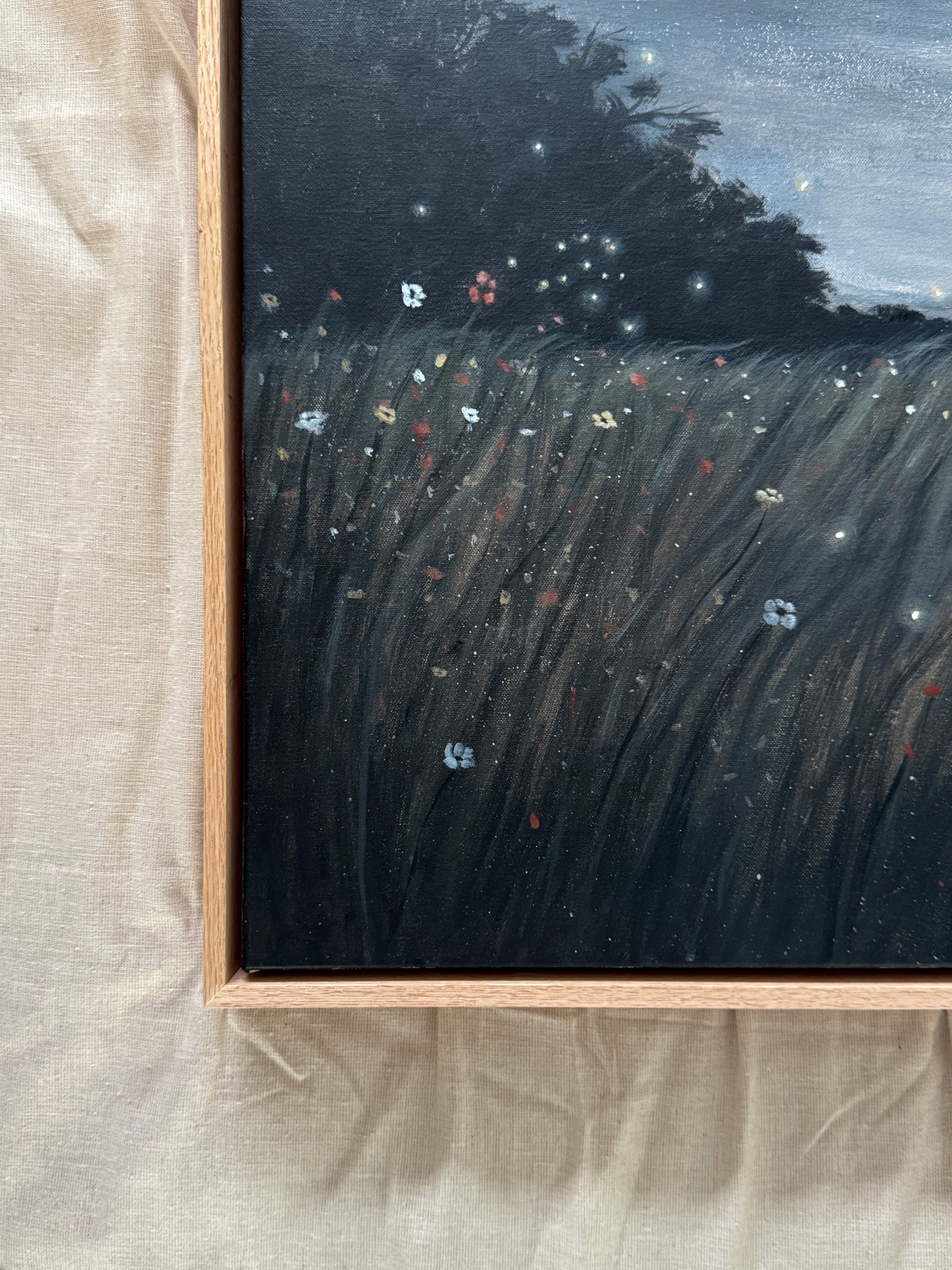 where fireflies dance