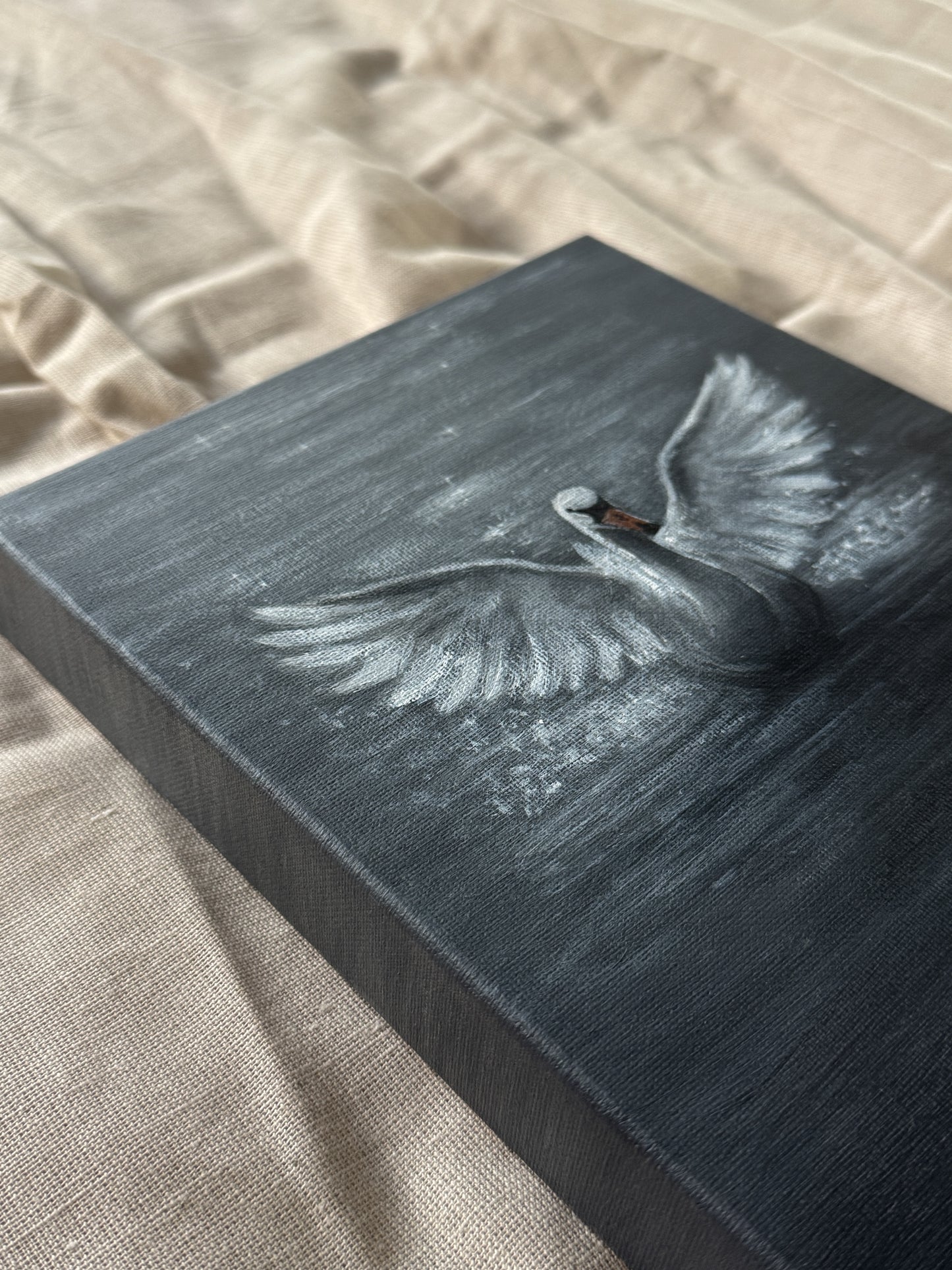 swan no.2