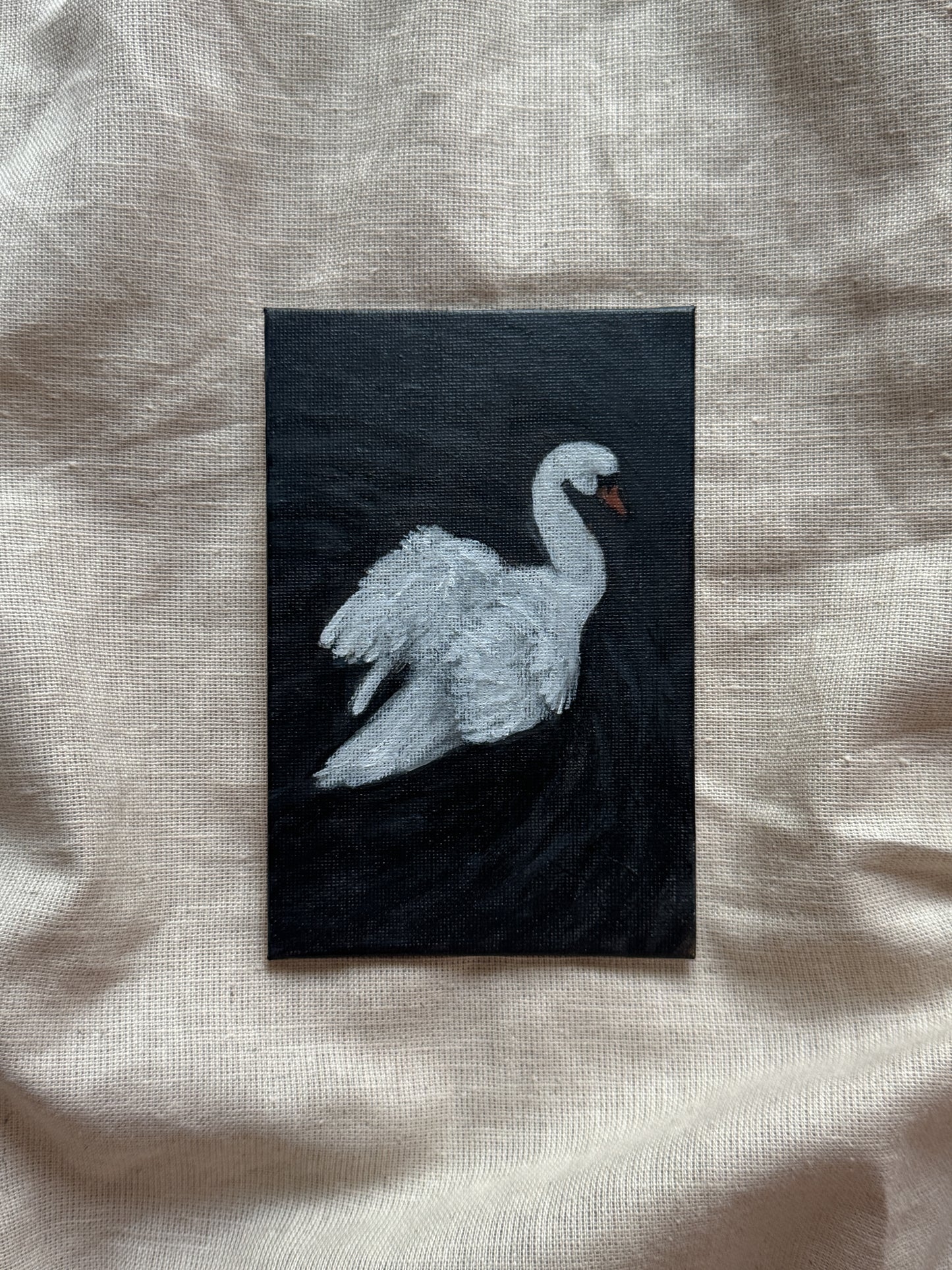 swan on still water