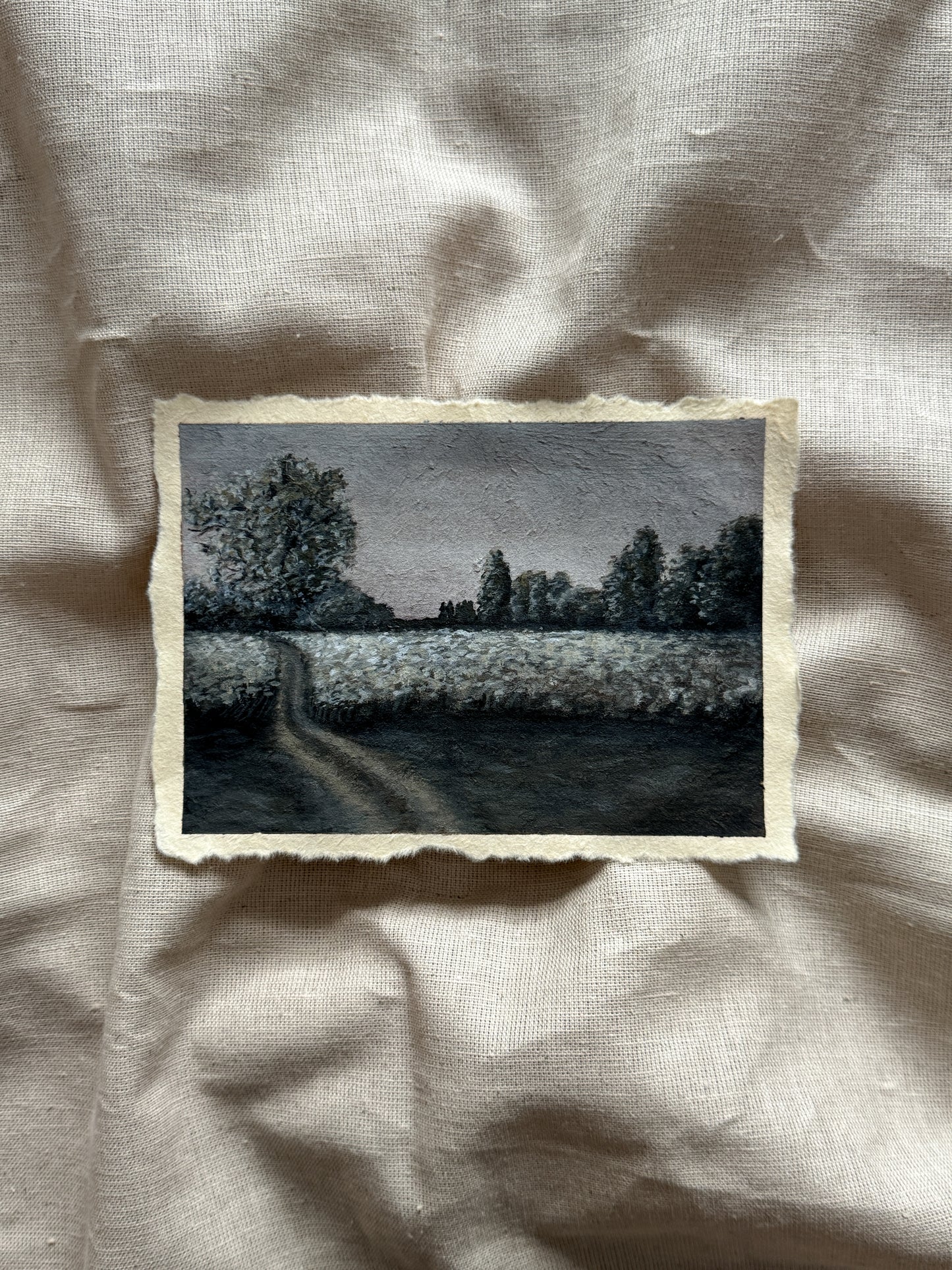 meadow's whisper