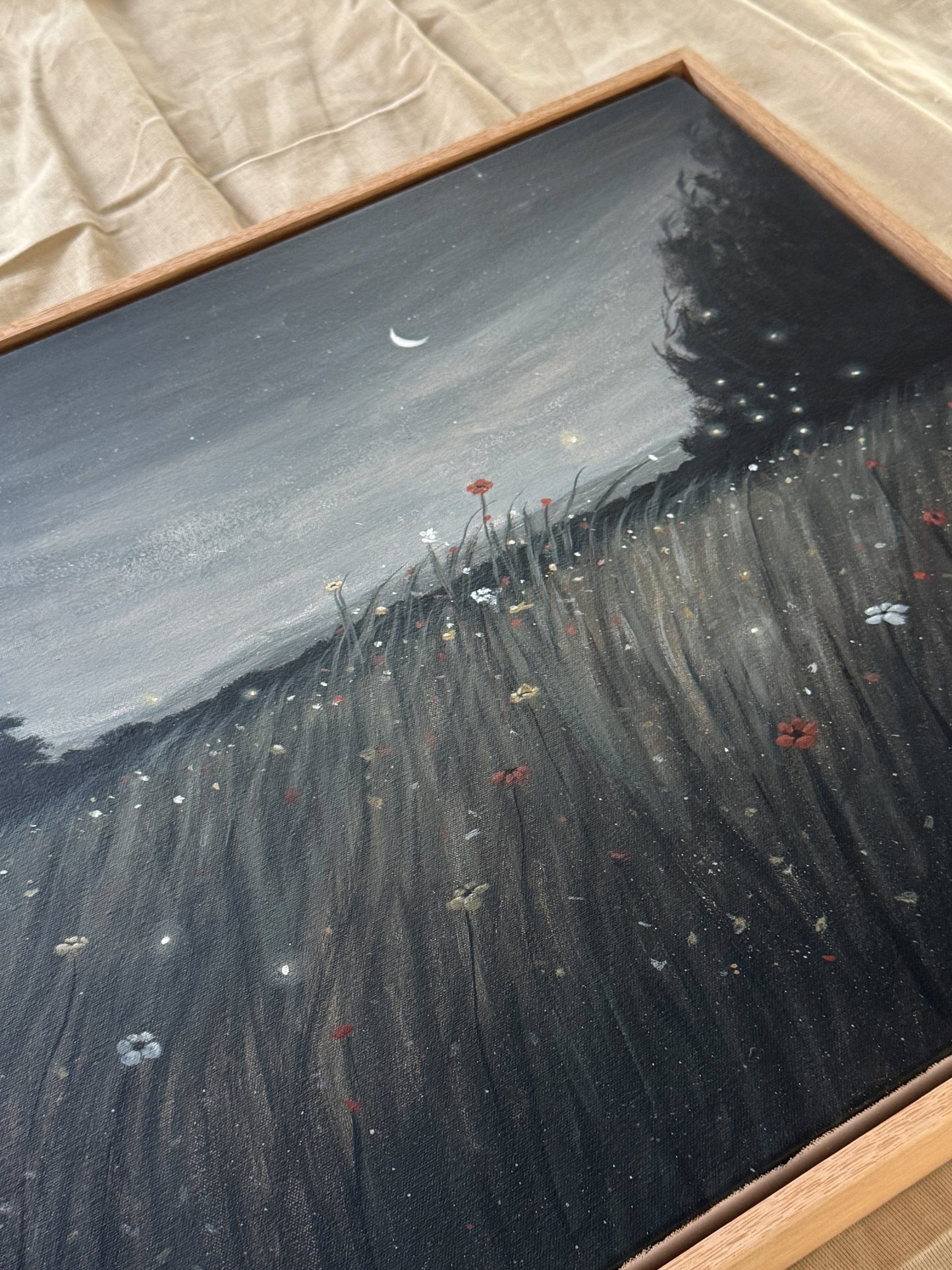 where fireflies dance