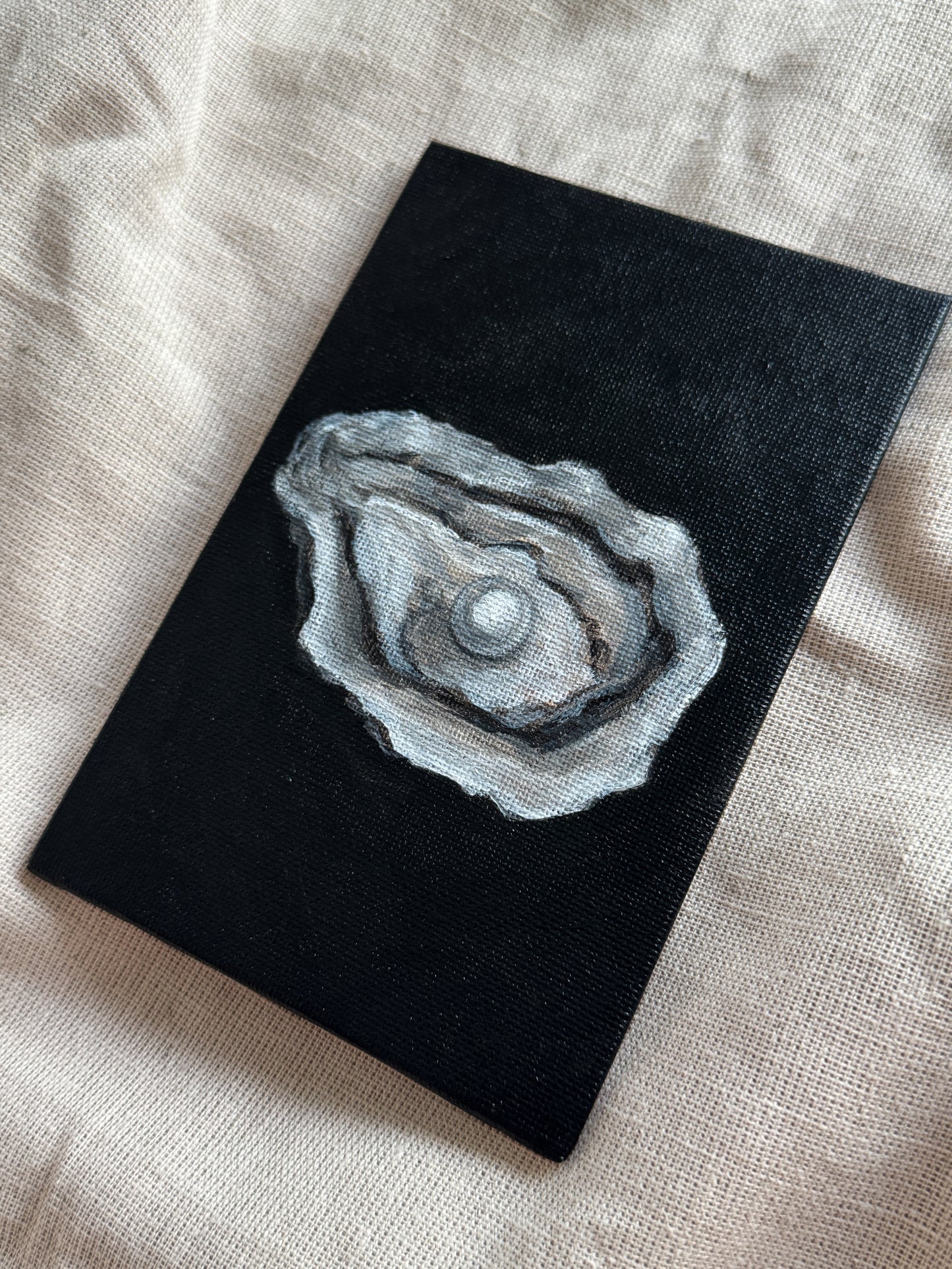 an oyster’s beauty