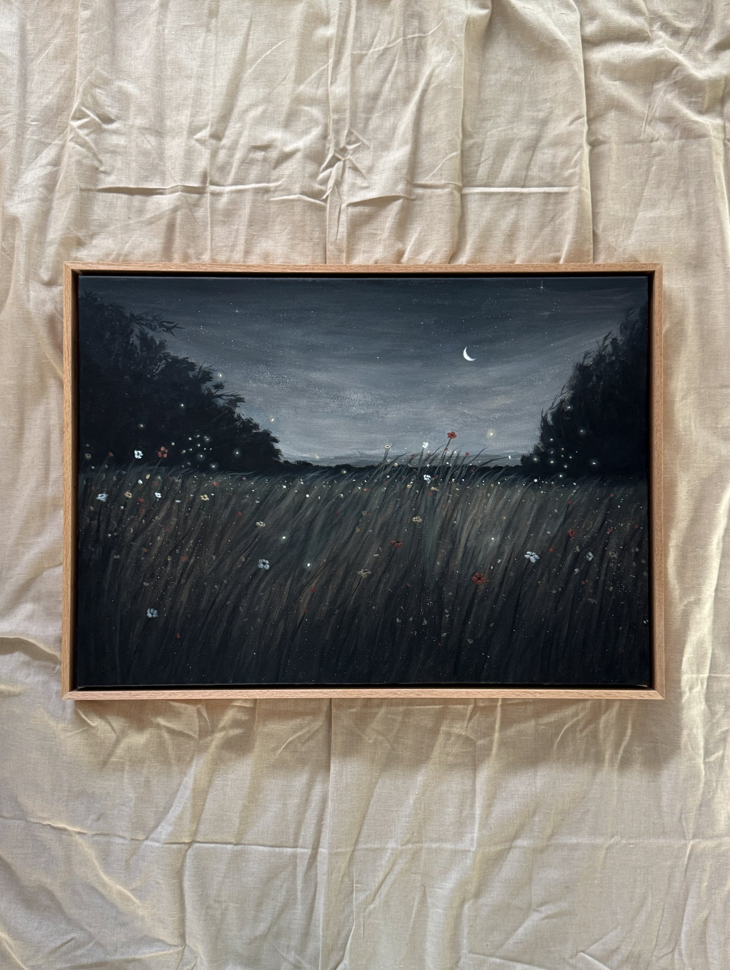 where fireflies dance