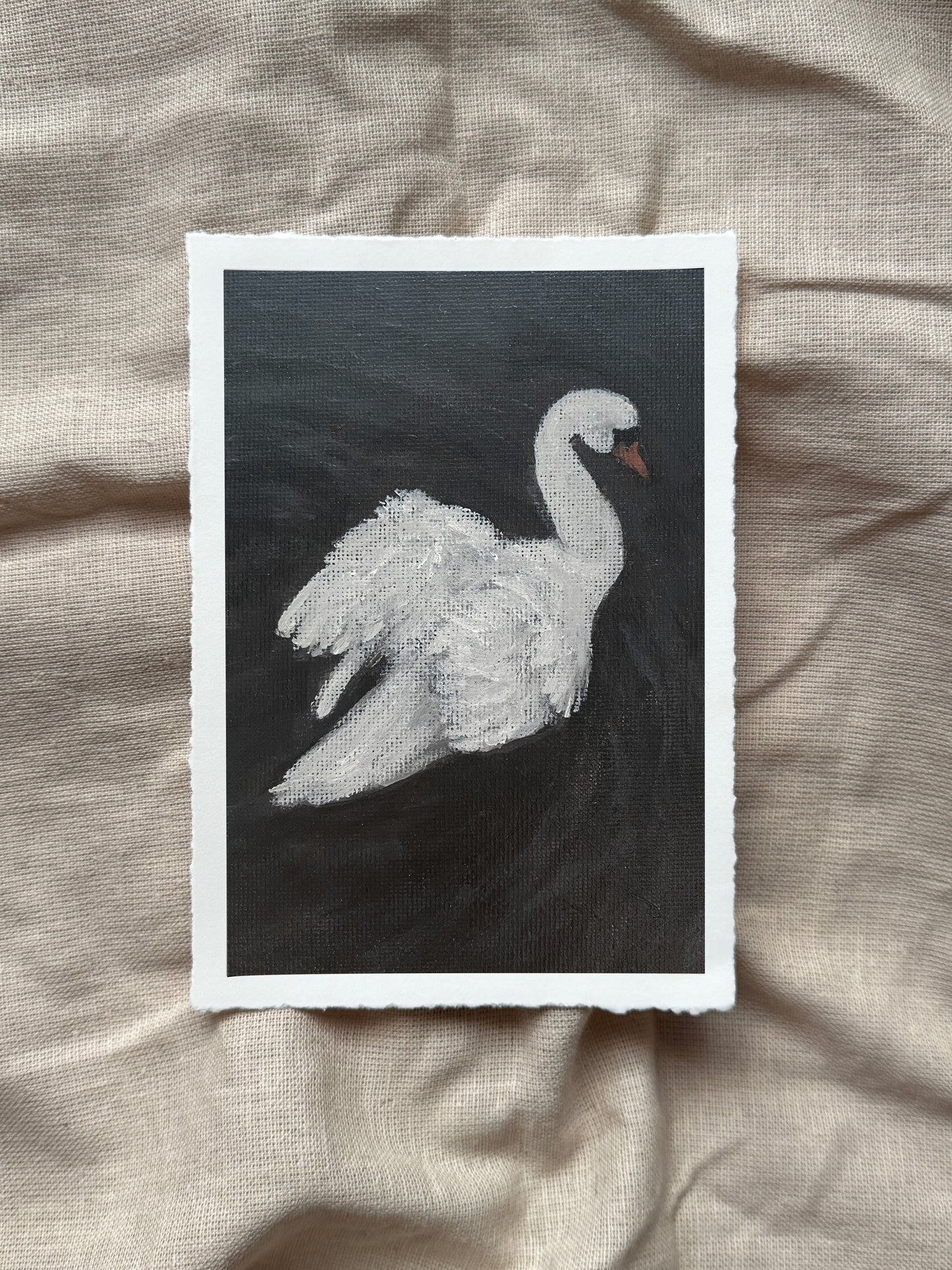 swan on still water print (with deckled edge)