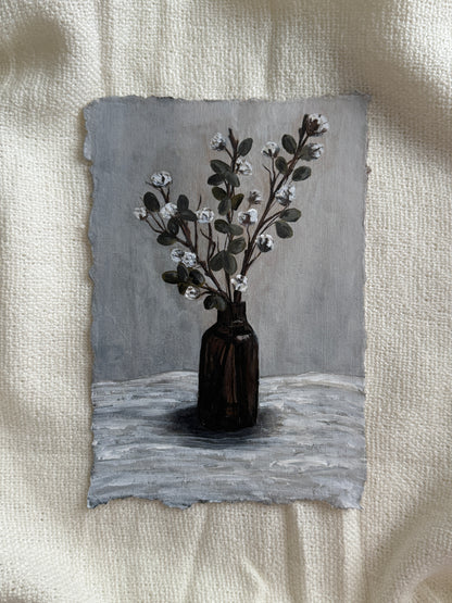 eucalyptus & cotton