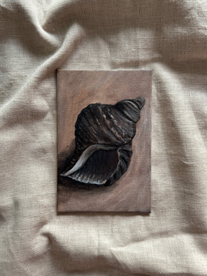 song of the seashell