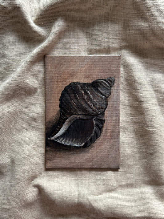 song of the seashell
