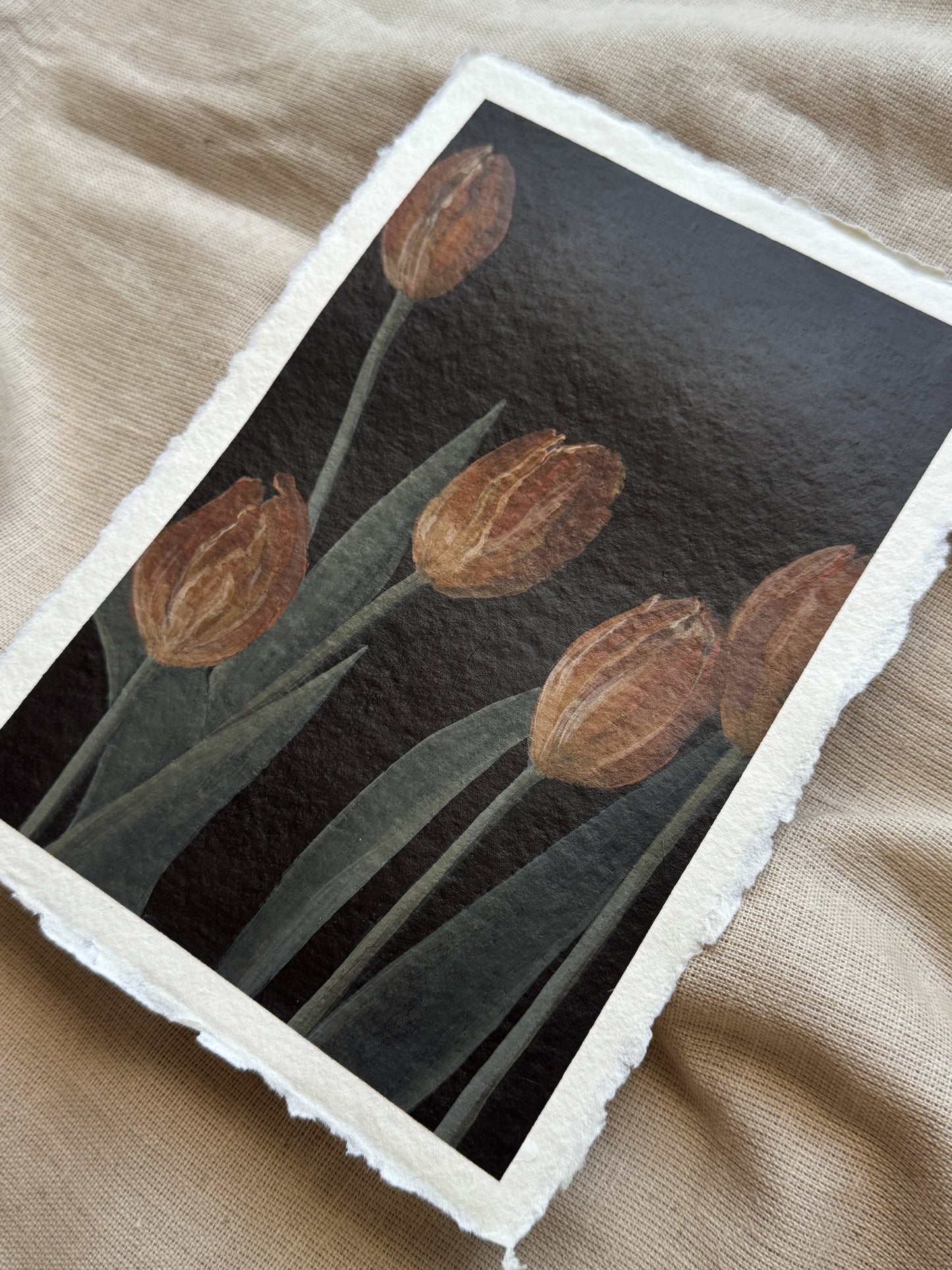 tulips for may