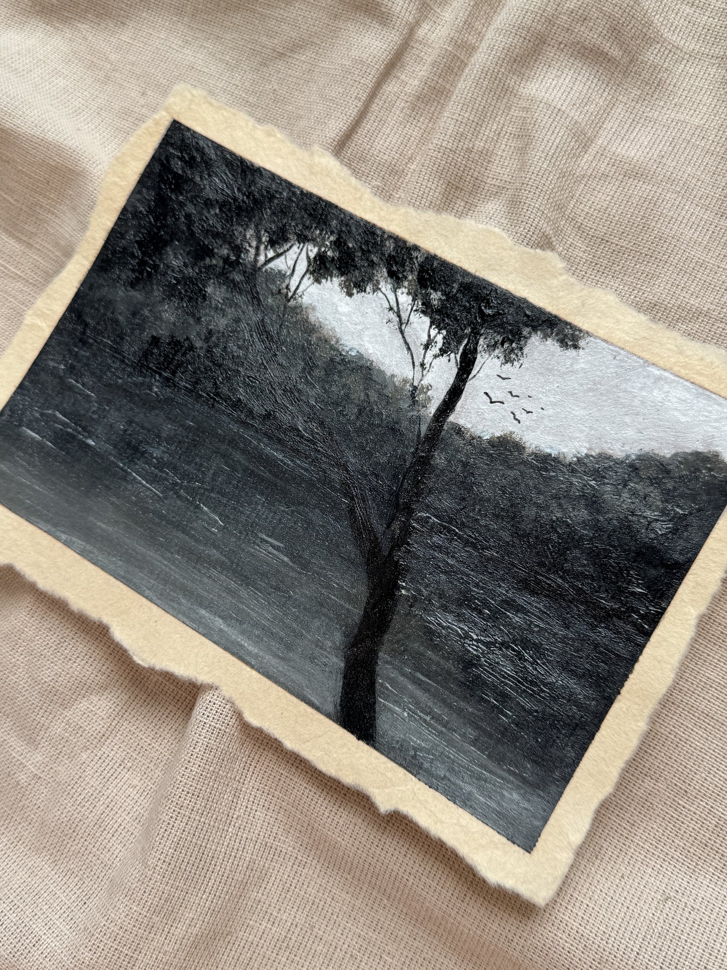 landscape study #12 - resting spot