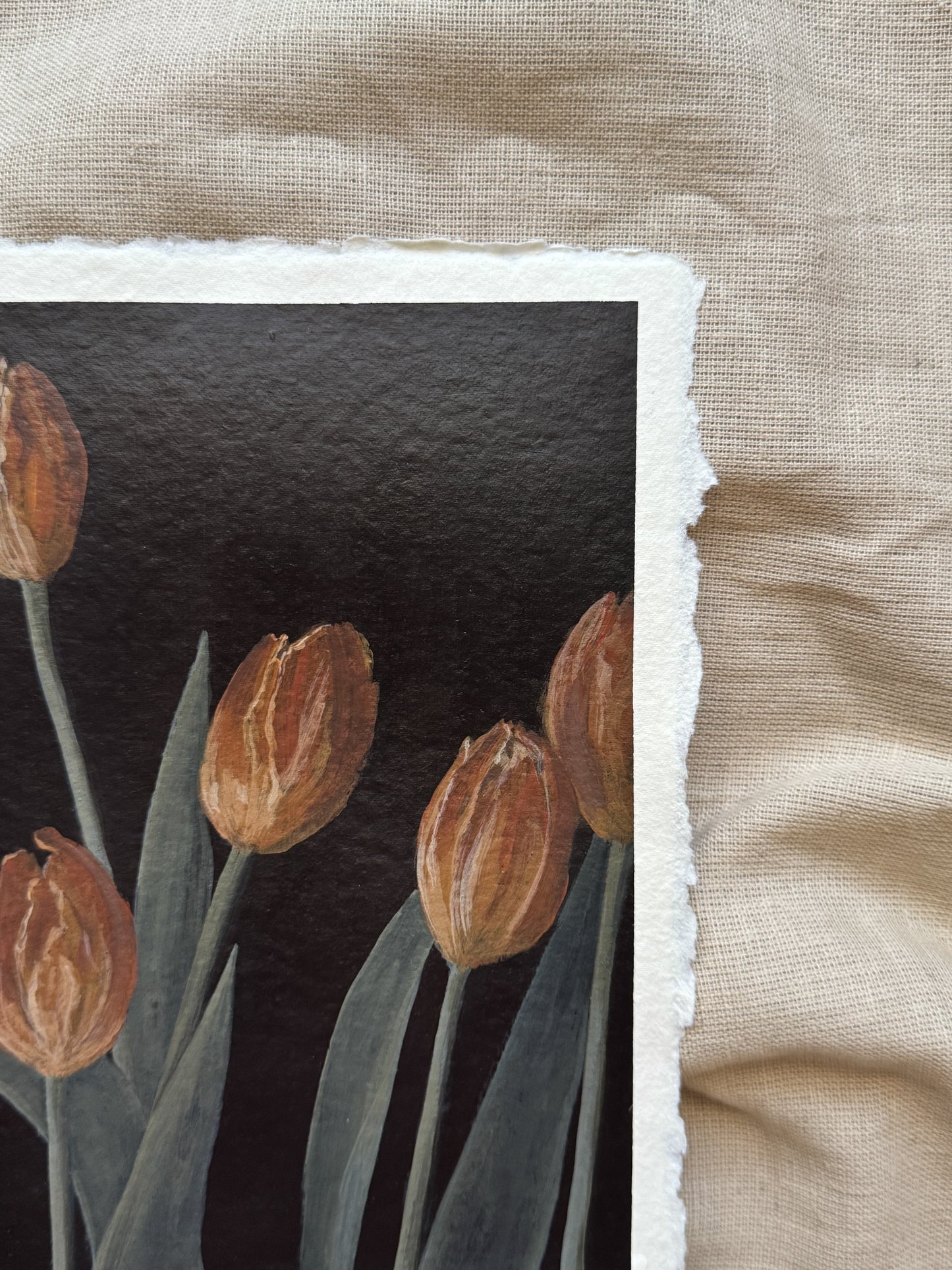 tulips for may
