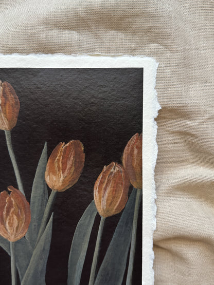 tulips for may