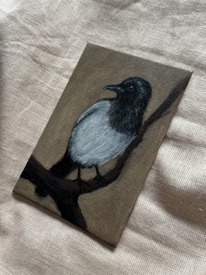 a magpie’s watch
