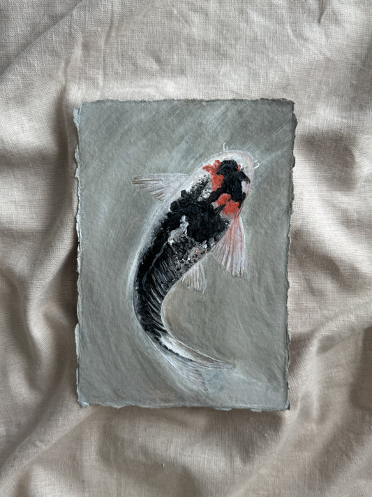 koi