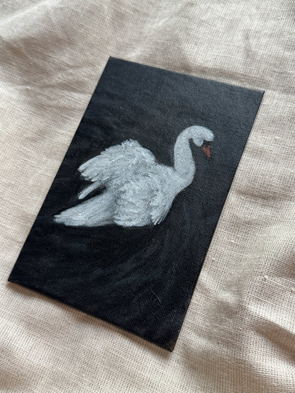 swan on still water