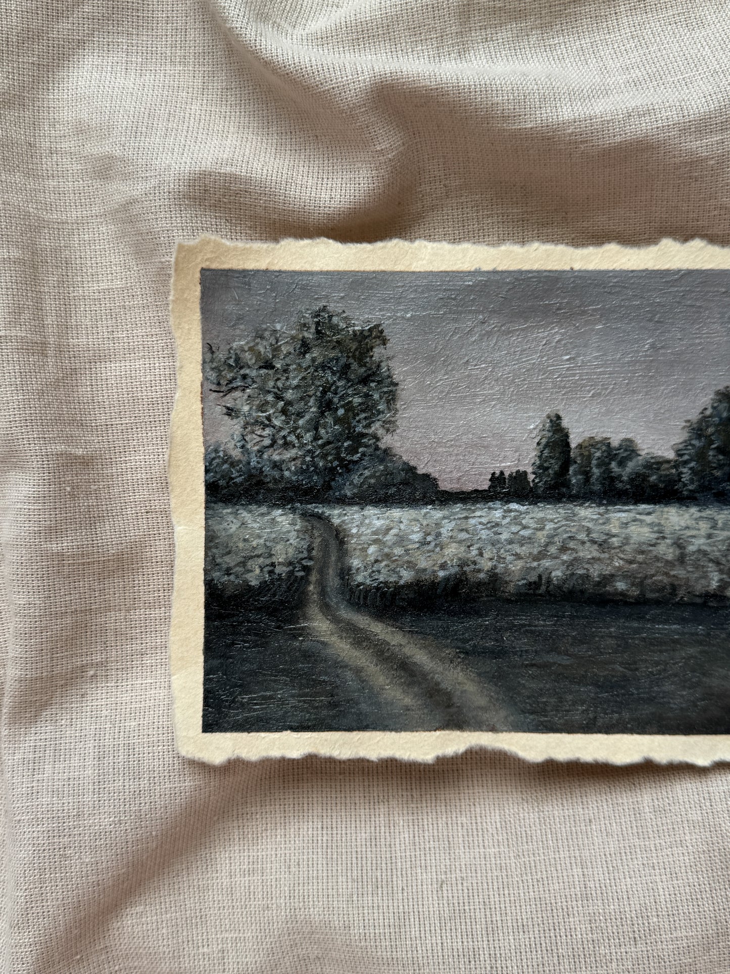 landscape study #4 - meadow's whisper