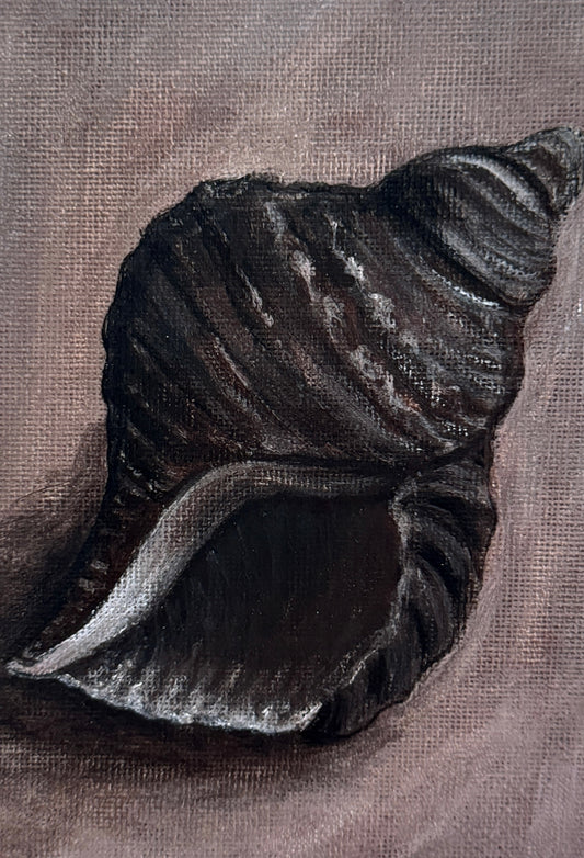 song of the seashell (print)