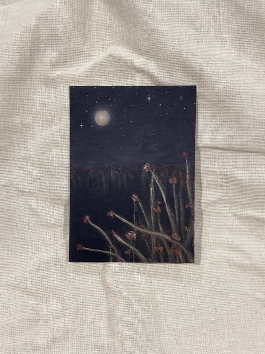 apr26 a glowy night