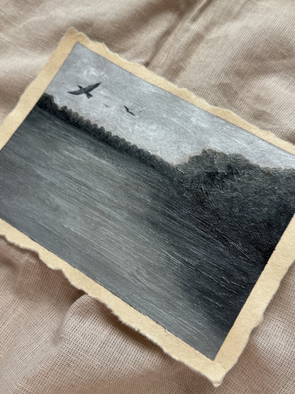 landscape study #8 - set me free