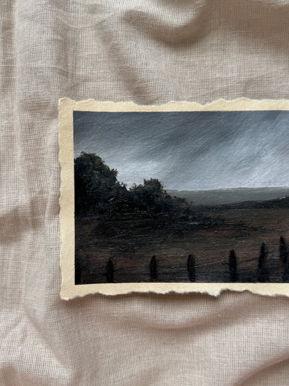 landscape study #16 - after the hush
