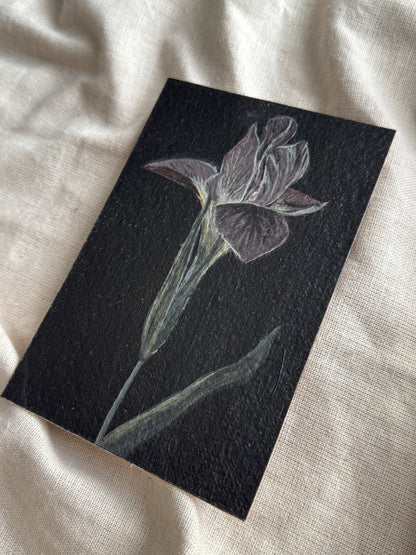 purple flower