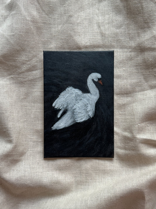 swan on still water