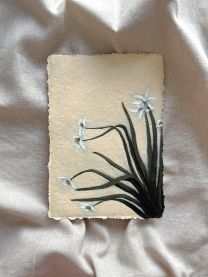 where soft things begin