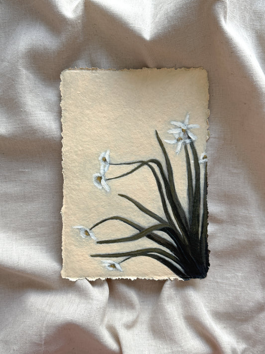 where soft things begin