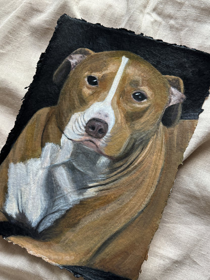 day 16/31 - bailey