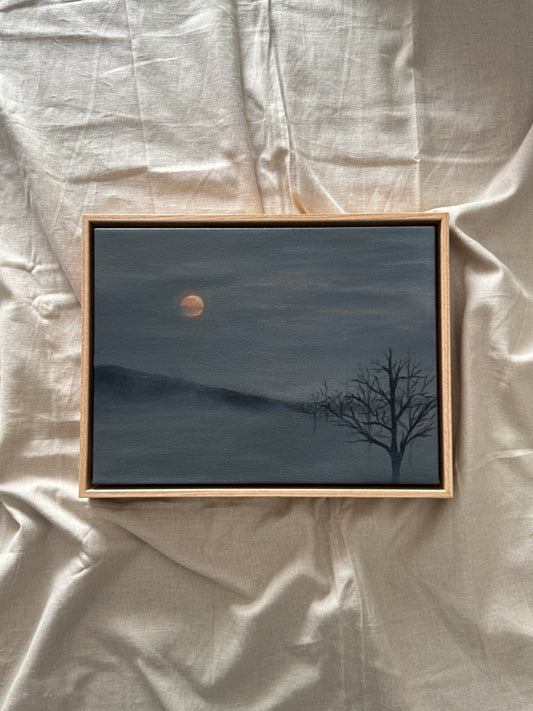 as the world sleeps