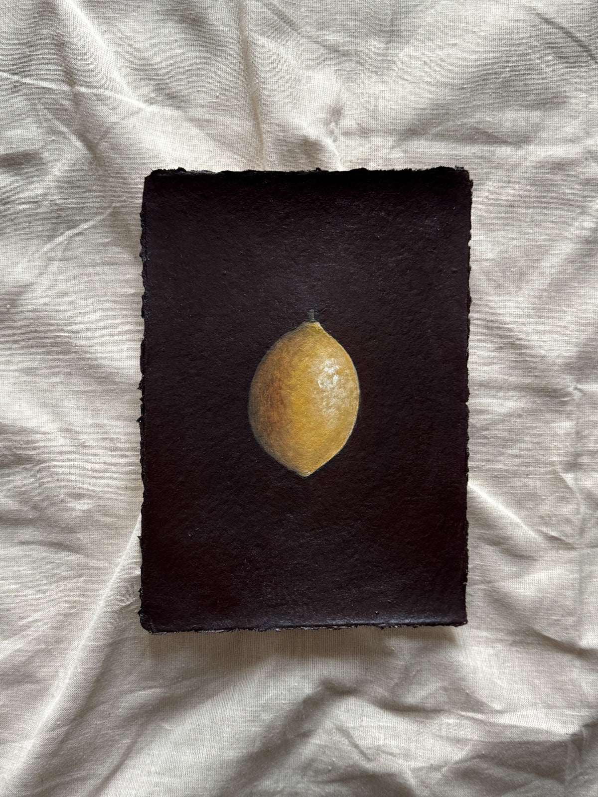 day 10/31 - lemon from my backyard