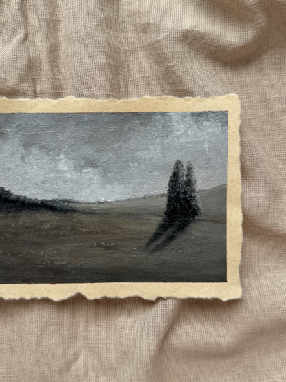 landscape study #10 - together, we grow old