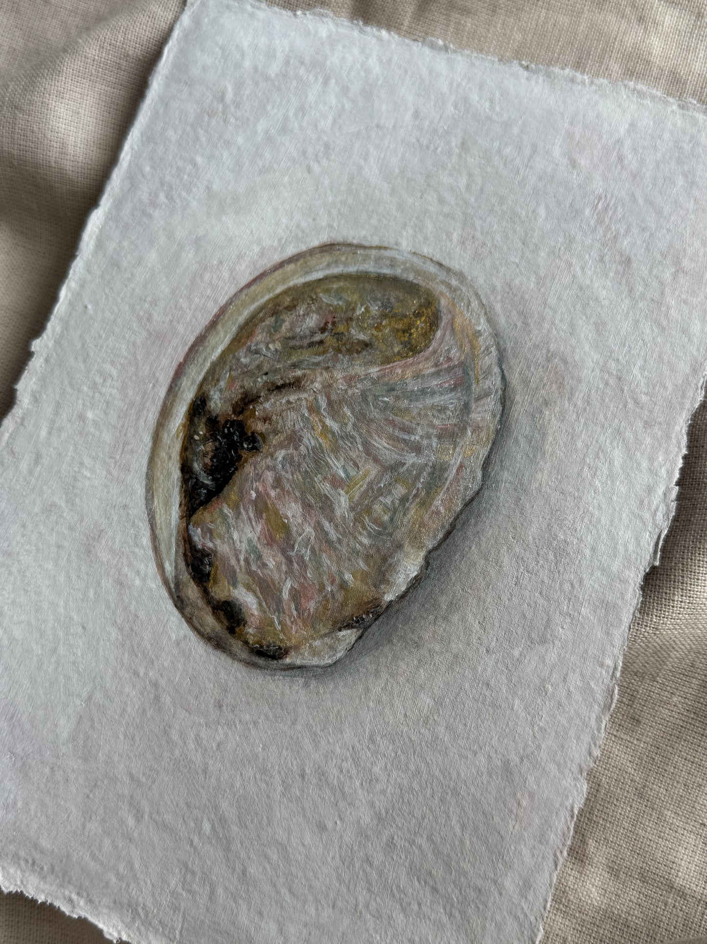 grilled abalone shell