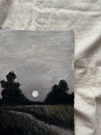 day 15/31 - longer days