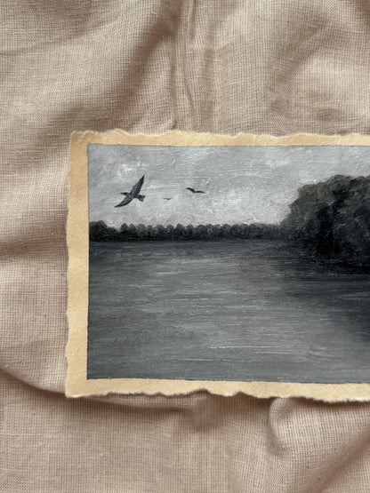 landscape study #8 - set me free