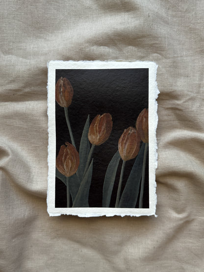 tulips for may