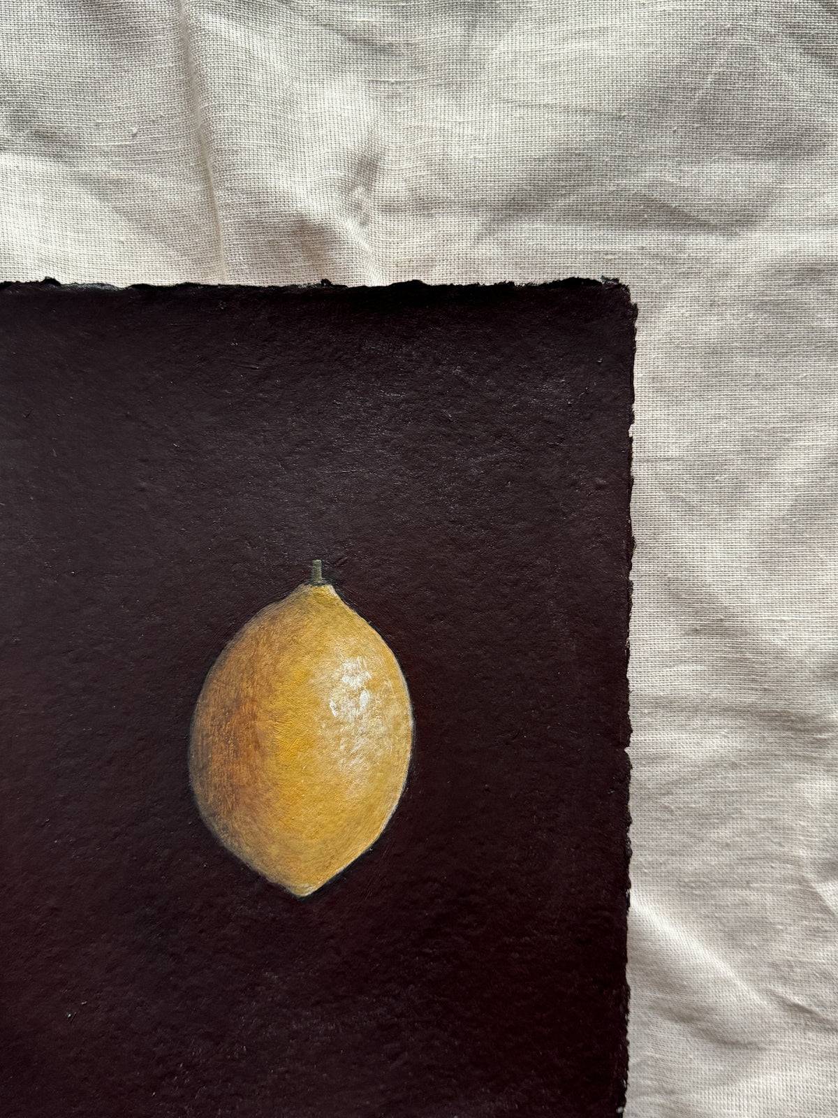 day 10/31 - lemon from my backyard
