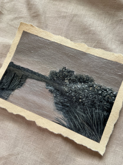 landscape study #1 - edge of silence