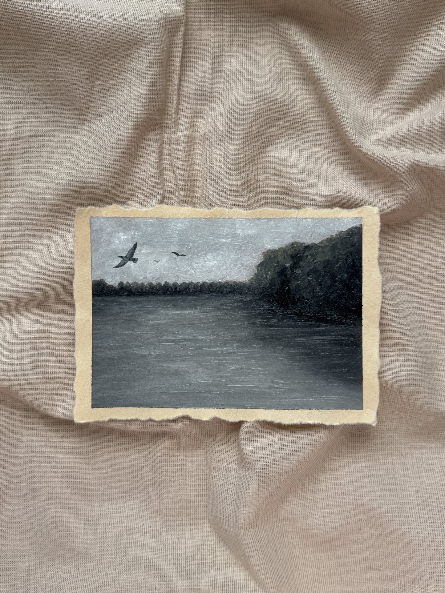 landscape study #8 - set me free
