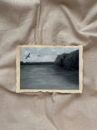 landscape study #8 - set me free