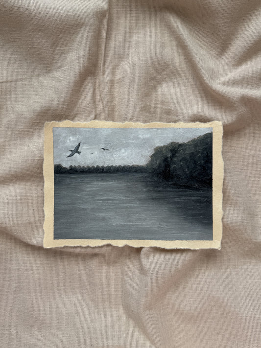 landscape study #8 - set me free