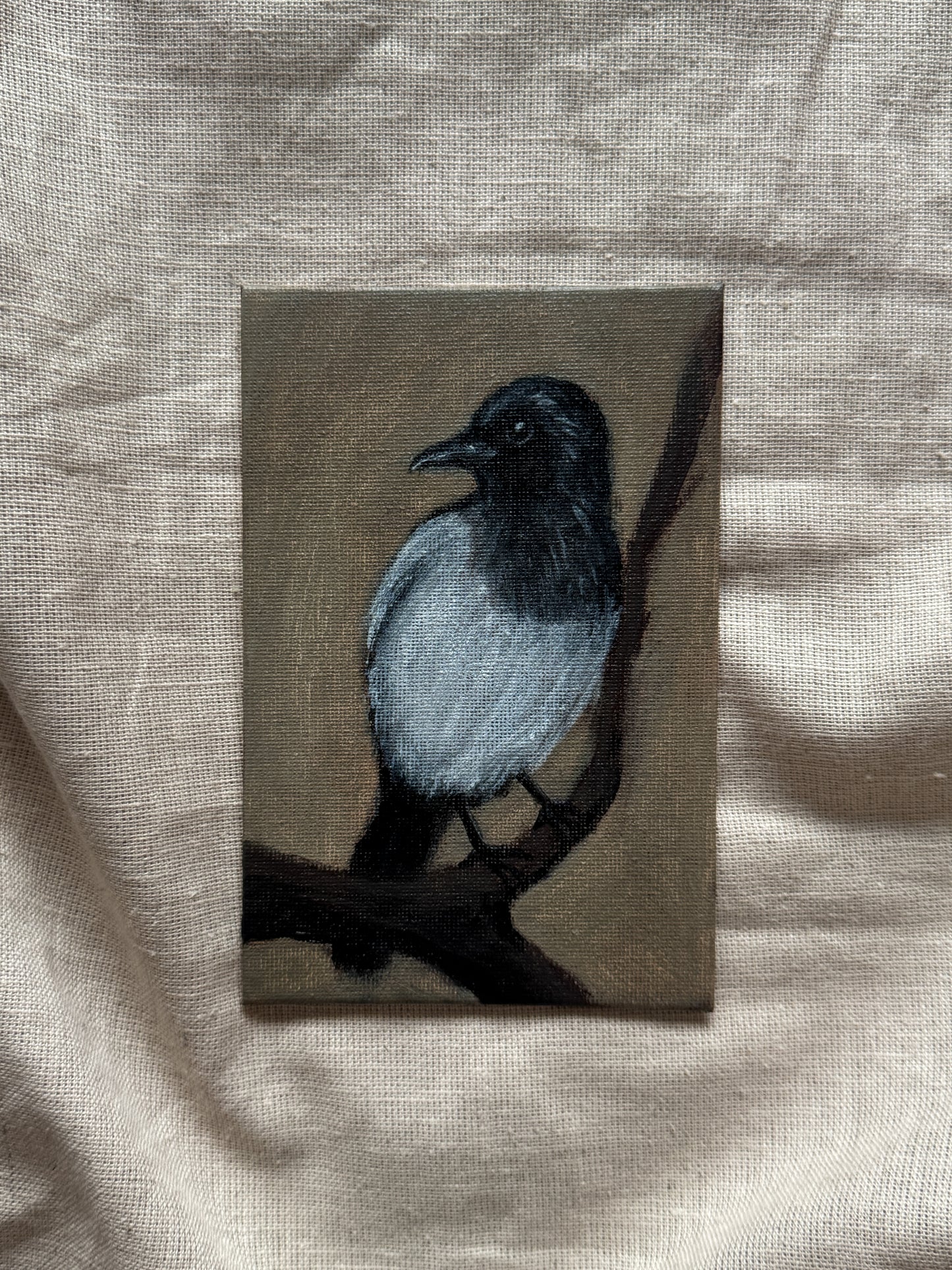 a magpie’s watch