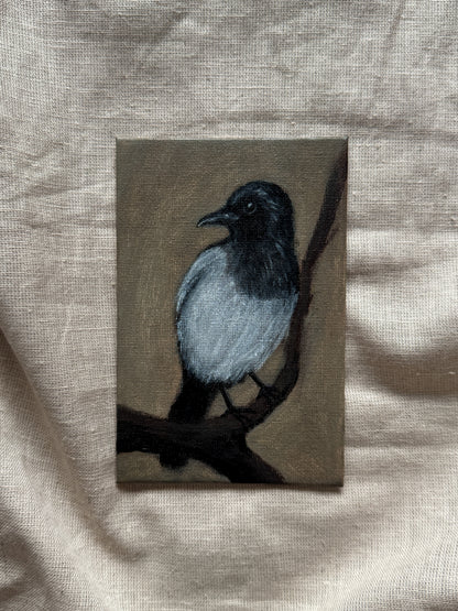a magpie’s watch
