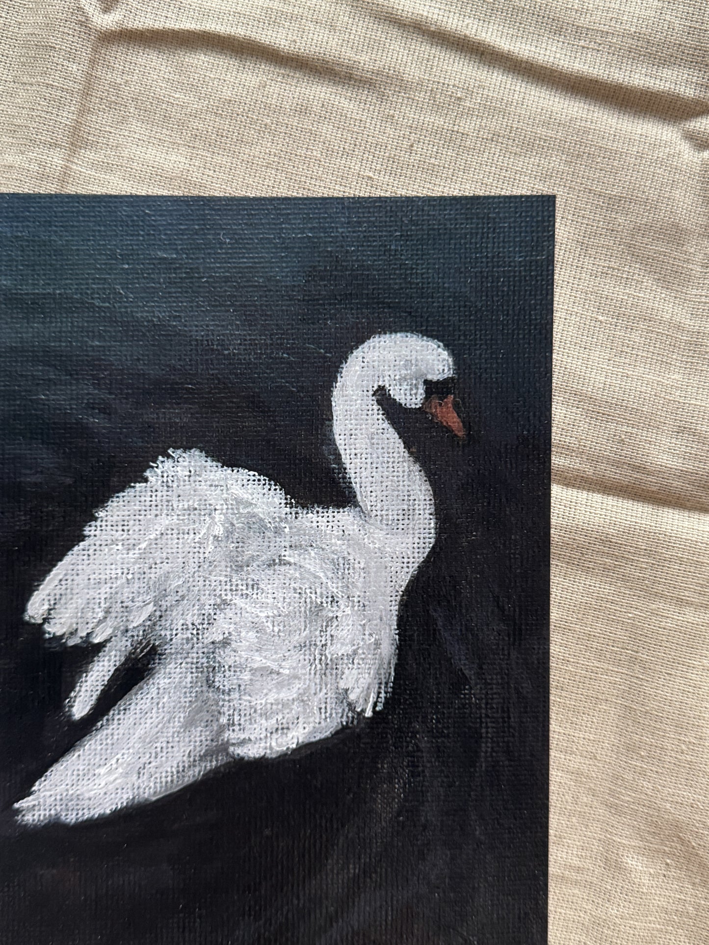 swan on still water (print)