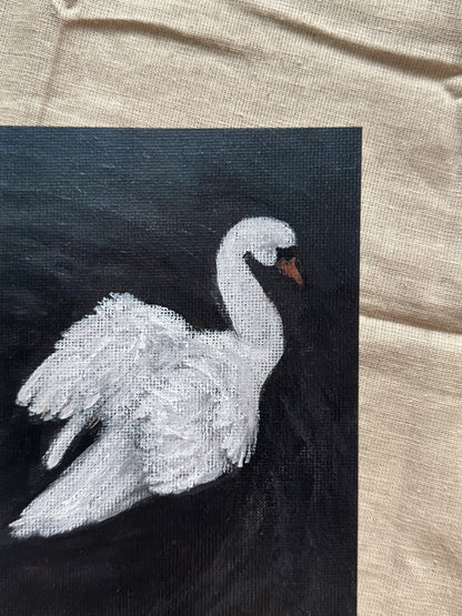 swan on still water (print)