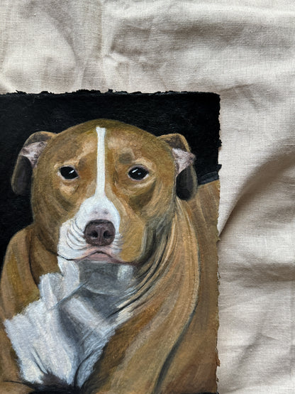 day 16/31 - bailey