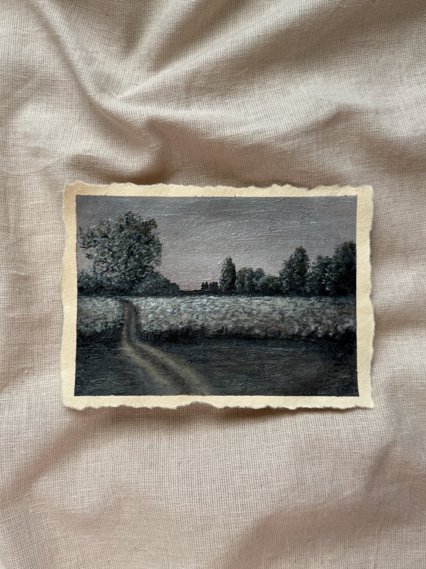 landscape study #4 - meadow's whisper